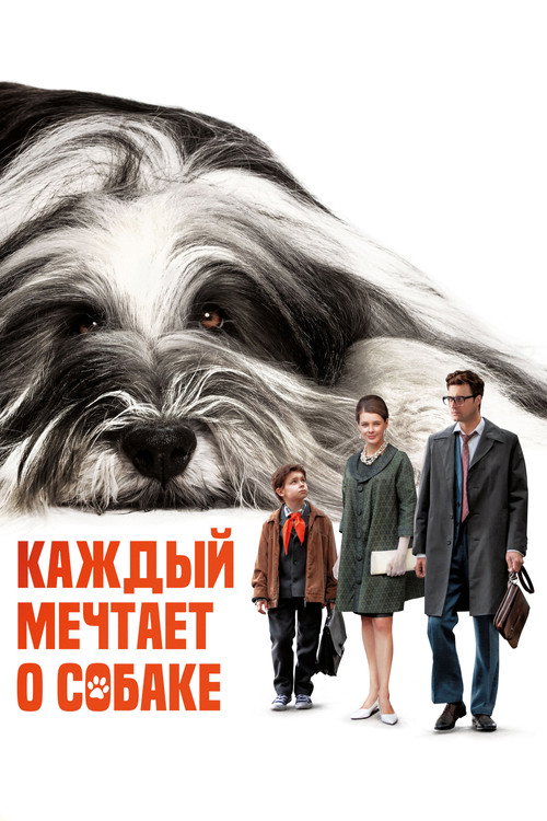Movie poster for Everyone Dreams of a Dog (2024)