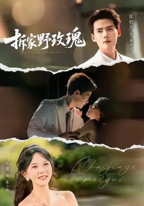 Series poster for 拆家野玫瑰 (2026)