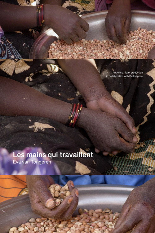 Movie poster for Les mains qui travaillent (2025)