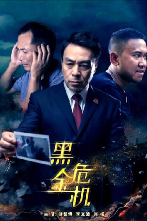 Movie poster for Black Crisis (2018)