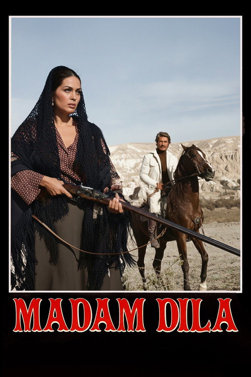 Movie poster for Madam Dilâ (1977)