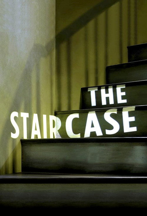 Series poster for The Staircase (2004)