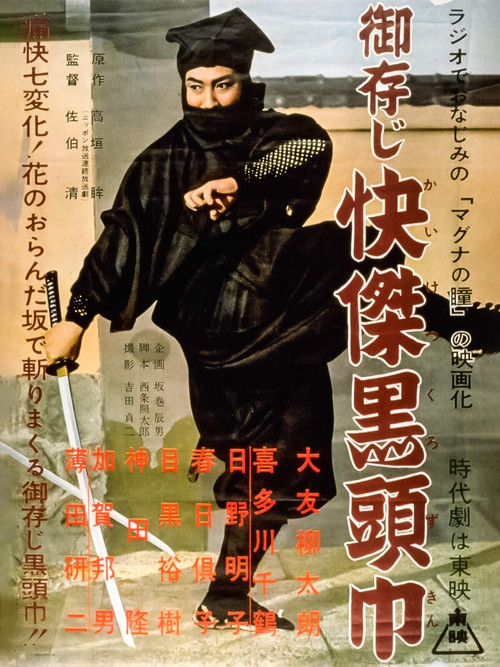 Movie poster for The Black Hooded Man (1955)