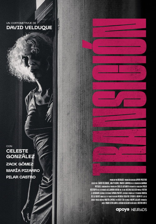 Movie poster for Transition (2023)
