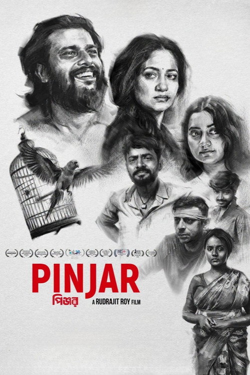 Movie poster for Pinjar (2026)