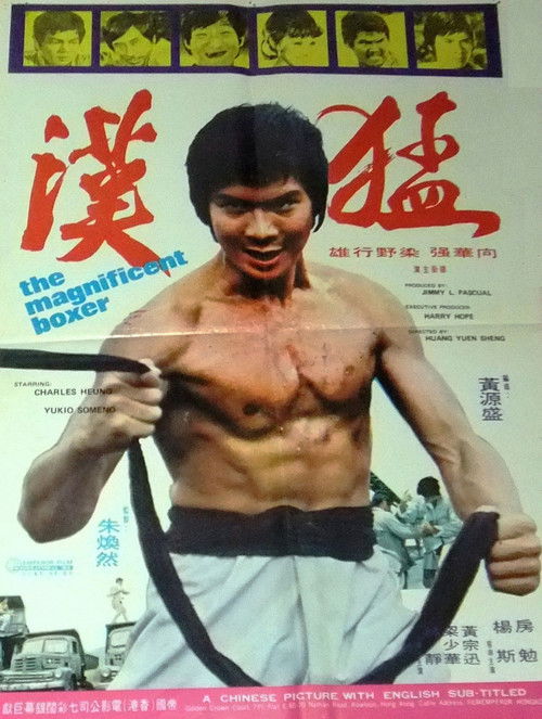 Movie poster for The Magnificent Boxer (1973)