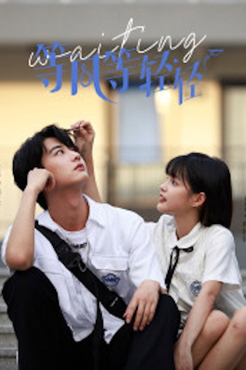 等风等轻轻 poster