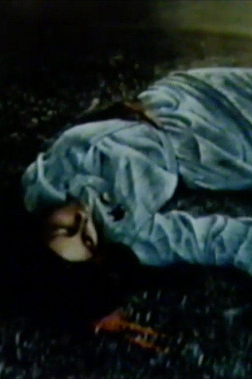 Movie poster for Occupied Palestine (1981)