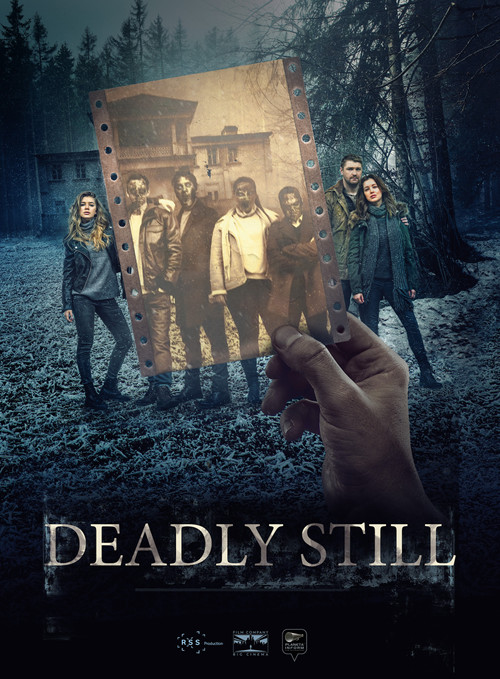 Movie poster for Deadly Still (2018)