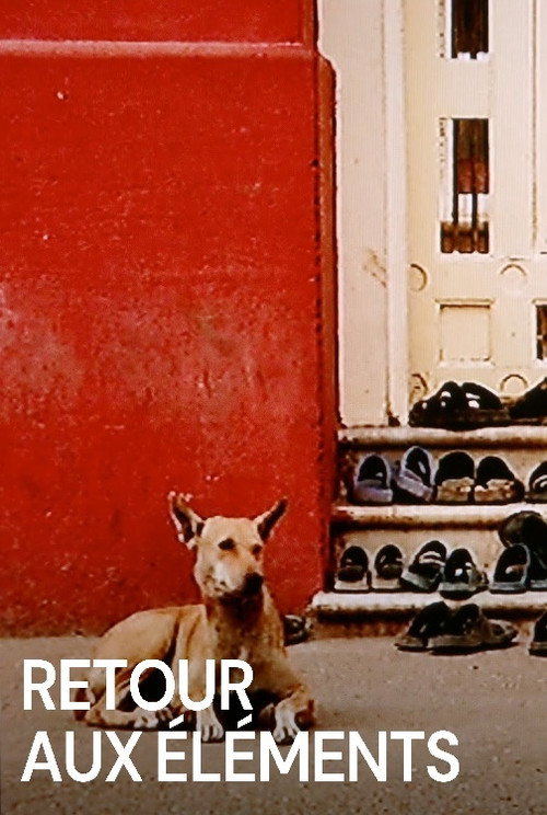 Movie poster for Back to the Elements (2010)