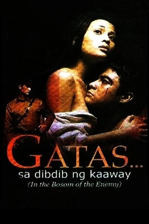 Movie poster for In the Bosom of the Enemy (2001)