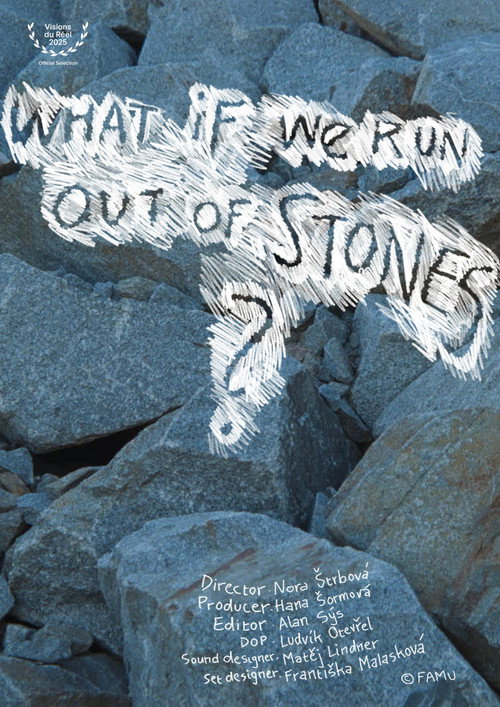 Movie poster for What If We Run Out of Stones? (2025)