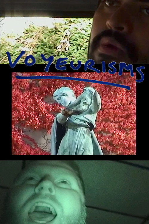 Movie poster for Voyeurisms (2024)