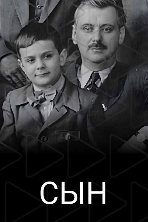 Movie poster for The Son (2023)
