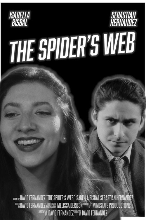 Movie poster for The Spider's Web (2021)