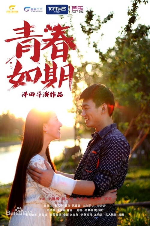 Movie poster for Youth on Schedule (2013)