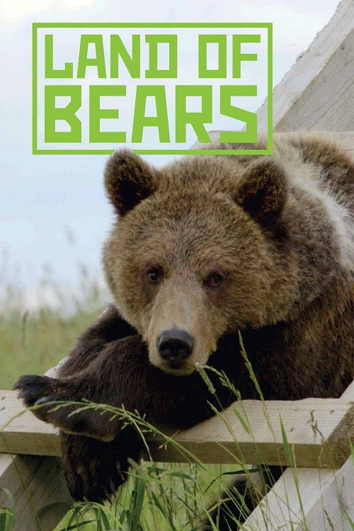 Movie poster for Land of Bears (2019)