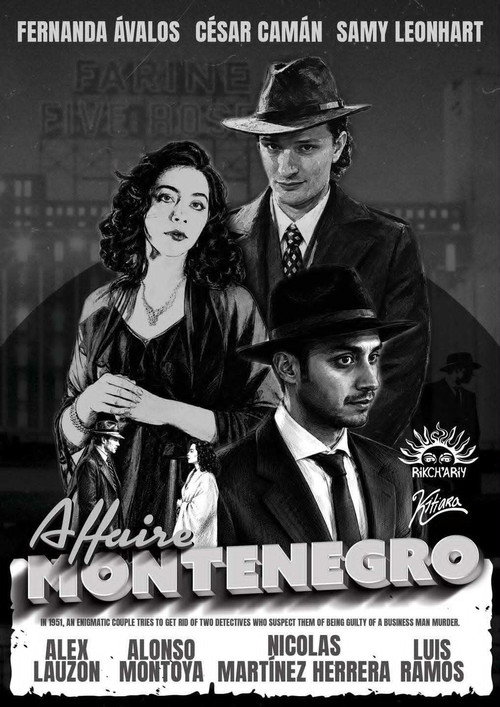 Movie poster for The Montenegro Affair