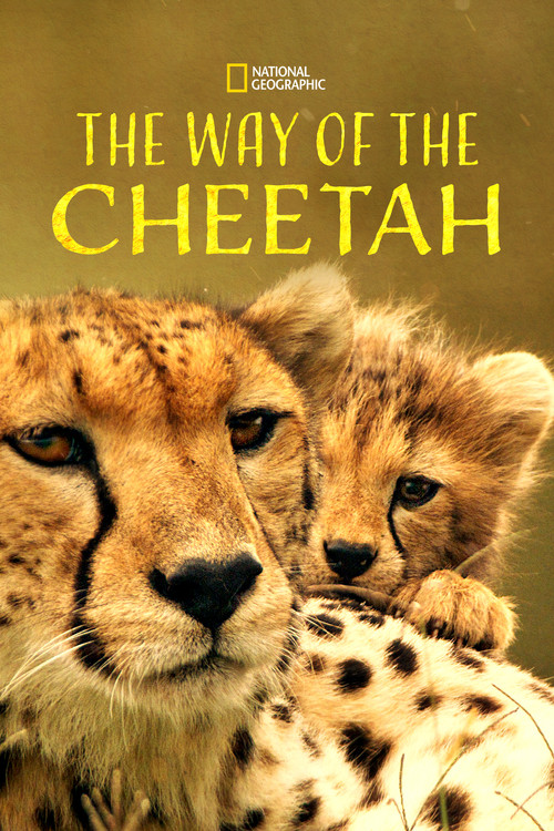 Movie poster for The Way of the Cheetah (2022)