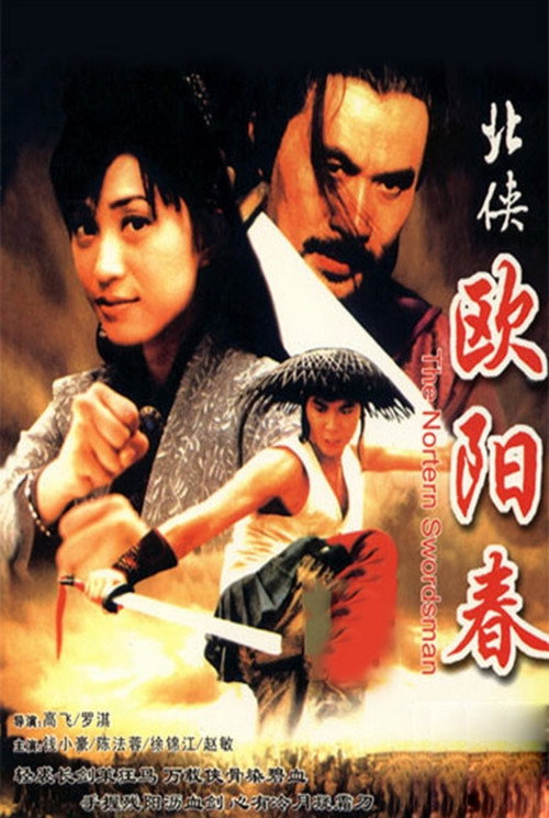 Movie poster for The Northern Swordsman (1999)