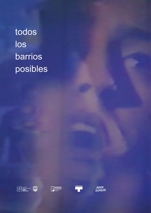 Movie poster for All Possible Neighborhoods (2024)