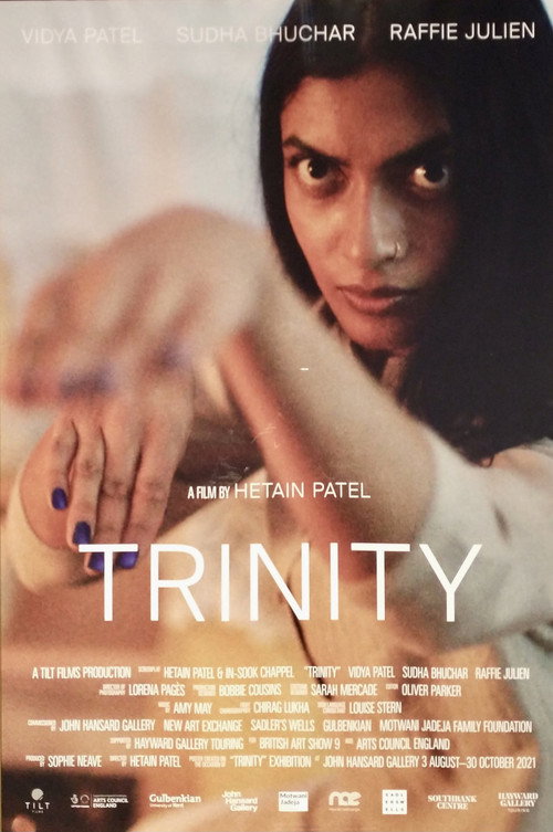 Movie poster for Trinity (2021)