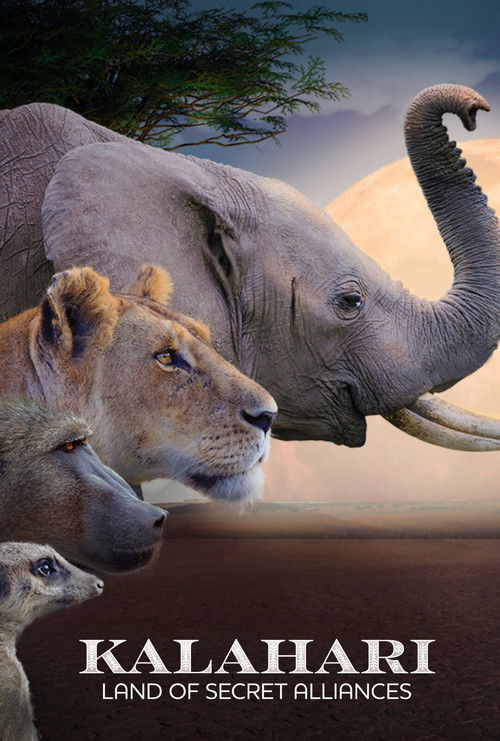 Series poster for Kalahari: Land of Secret Alliances (2022)