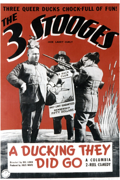 Movie poster for A Ducking They Did Go (1939)