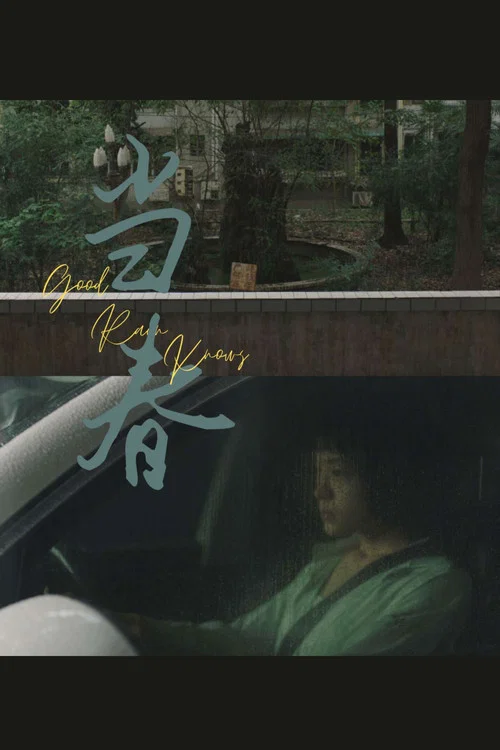 Movie poster for Good Rain Knows