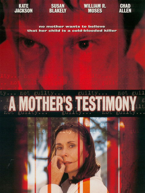 Movie poster for A Mother's Testimony (2001)