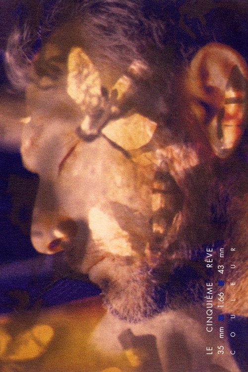 Movie poster for Fifth Dream (1994)