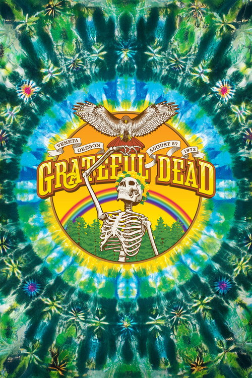 Movie poster for Grateful Dead: Sunshine Daydream (2013)
