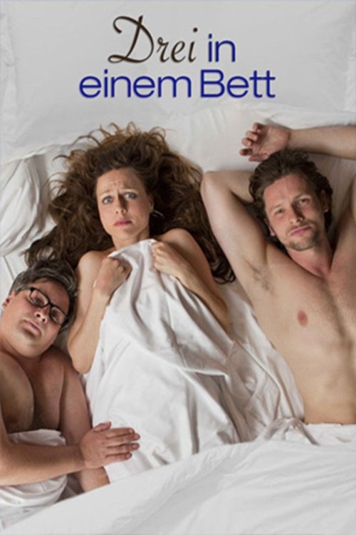 Movie poster for Knocked Up (2013)