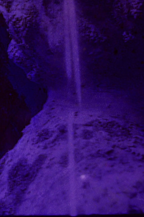 Movie poster for CICATRIX (2014)