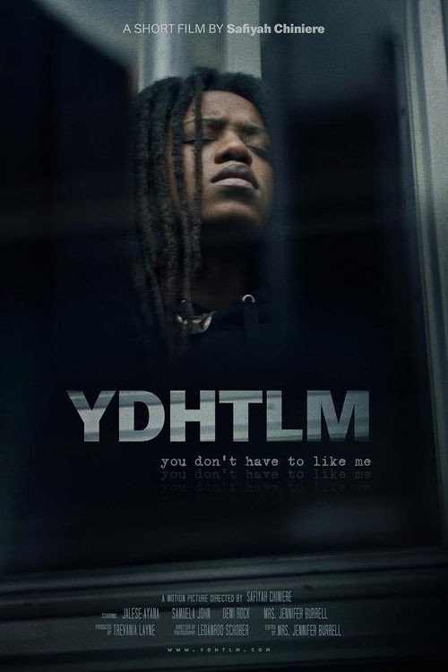 Movie poster for YDHTLM: You Don't Have to Like Me (2023)