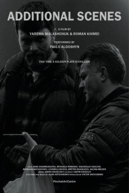 Movie poster for Additional Scenes (2024)