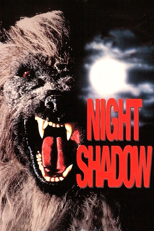 Movie poster for Night Shadow (1989)