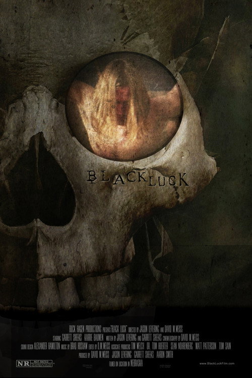 Movie poster for Black Luck (2016)
