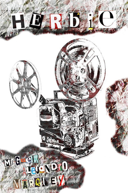 Movie poster for Herbie (2019)