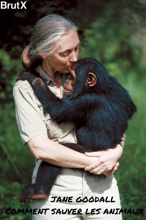 Movie poster for Jane Goodall : Comment sauver les animaux (2021)