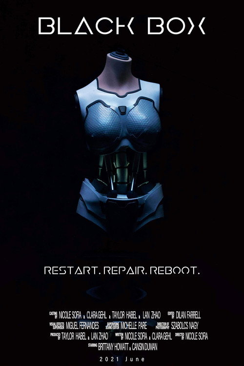 Movie poster for Black Box (2021)