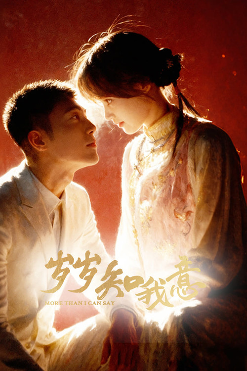 More Than I Can Say poster