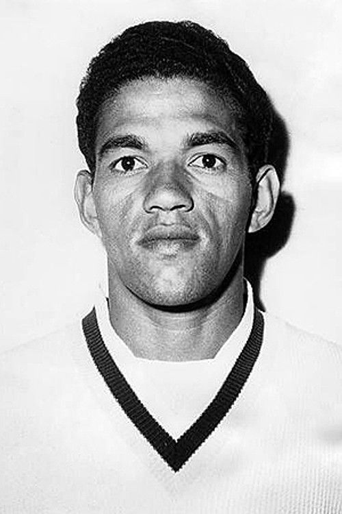 Garrincha profile