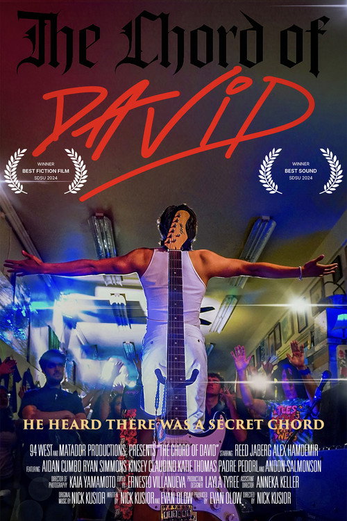 Movie poster for The Chord of David (2024)
