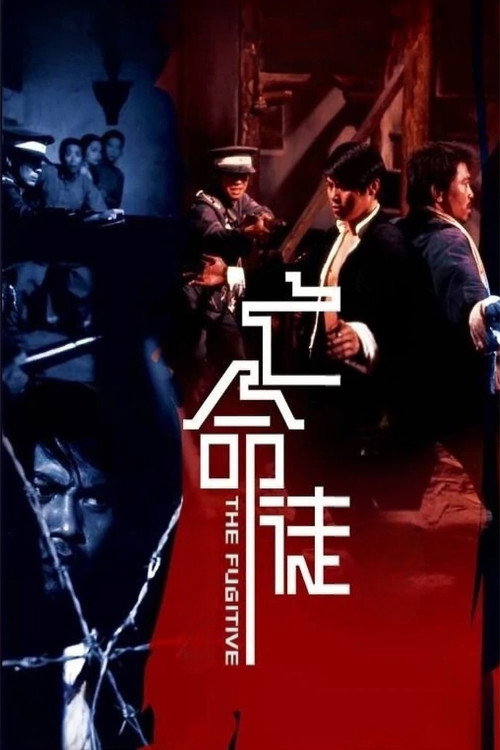 Movie poster for The Fugitive (1972)