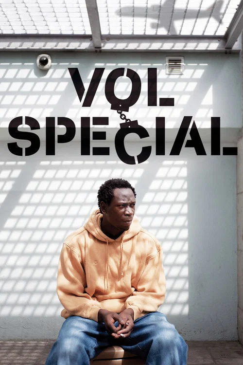 Movie poster for Special Flight (2011)