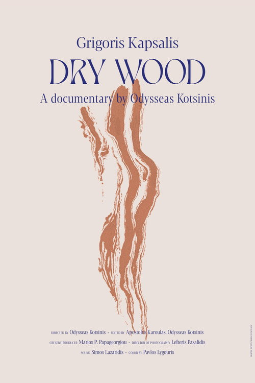 Movie poster for Dry Wood