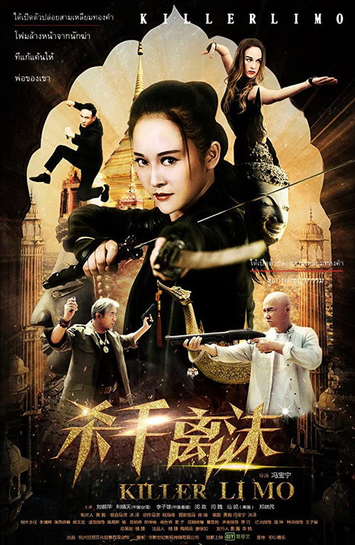 Movie poster for Killer Li Mo (2017)