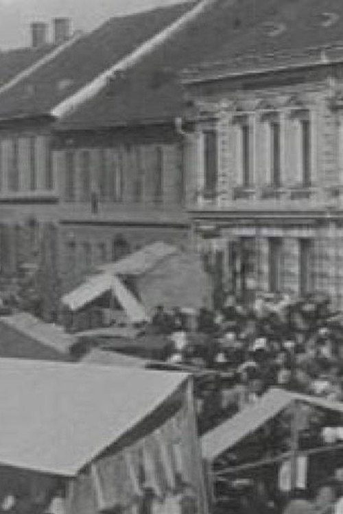 Movie poster for The Ljutomer Fair (1905)