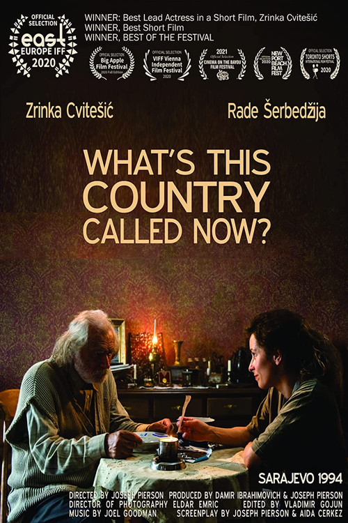 Movie poster for What's This Country Called Now? (2020)